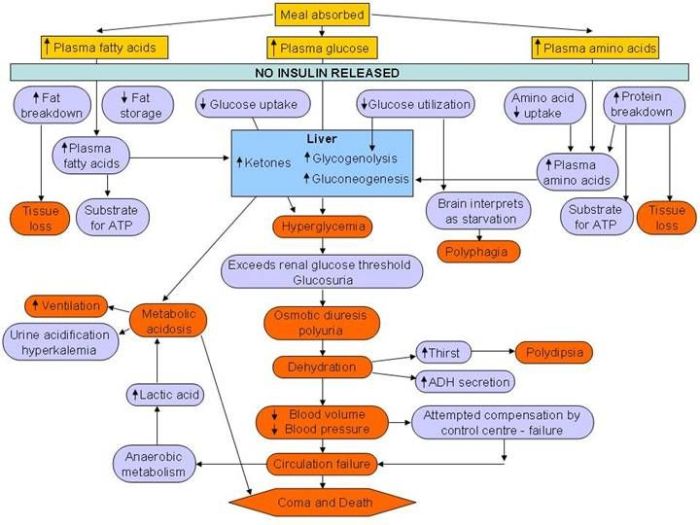 Diabetes mellitus type 2 concept map