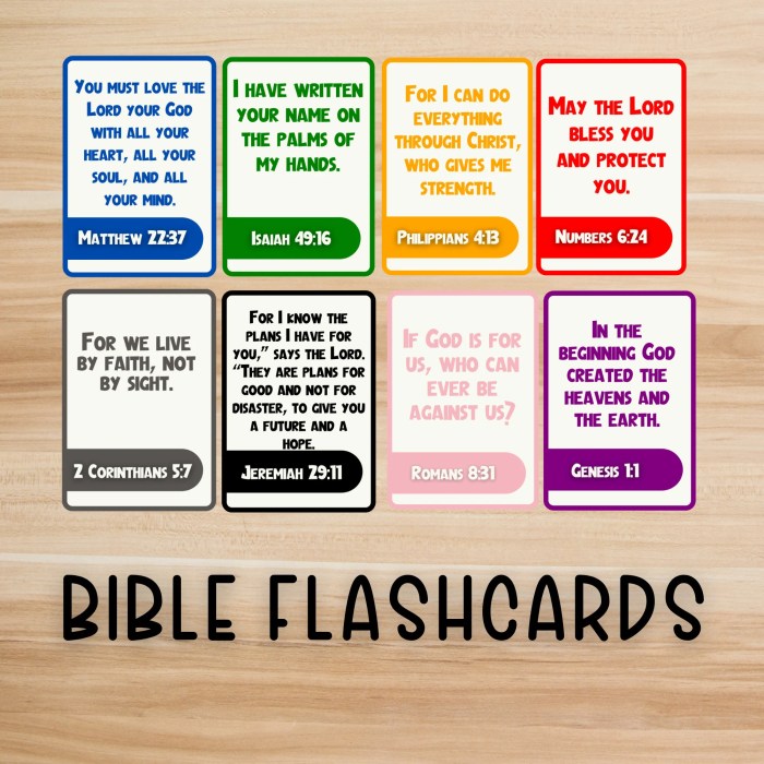 Bible cards flash facts kids fun