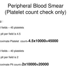 Platelet disorders estimate count formula platelets veteriankey