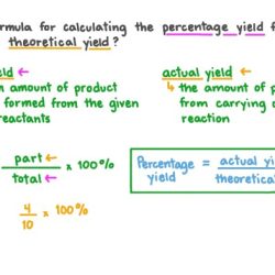 Yield theoretical calculate grams percent therefore