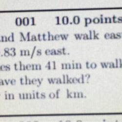 Heather and matthew walk with an average velocity of 0.98