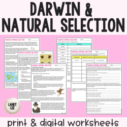 Evolution and natural selection worksheet answer key